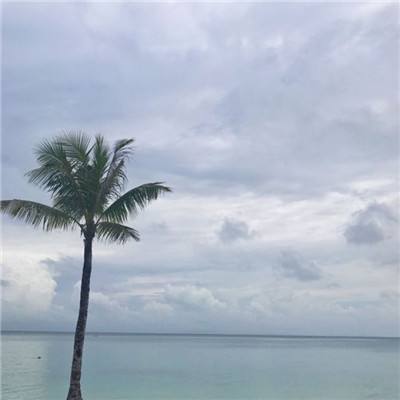 森林对决游戏