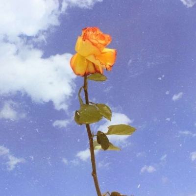 坦克雄心bt版下载